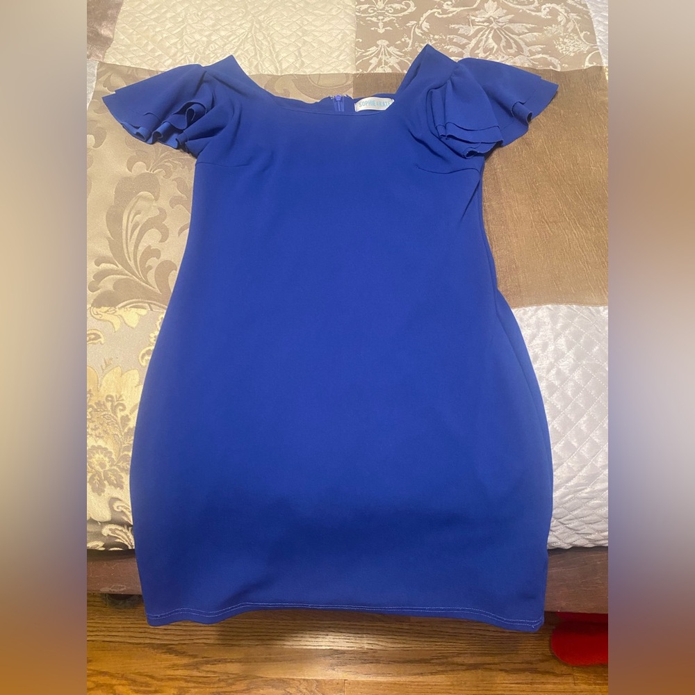 Sophie & Kate Blue Ruffle Sleeve Dress